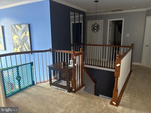 HUNTERS BROOKE - Residential