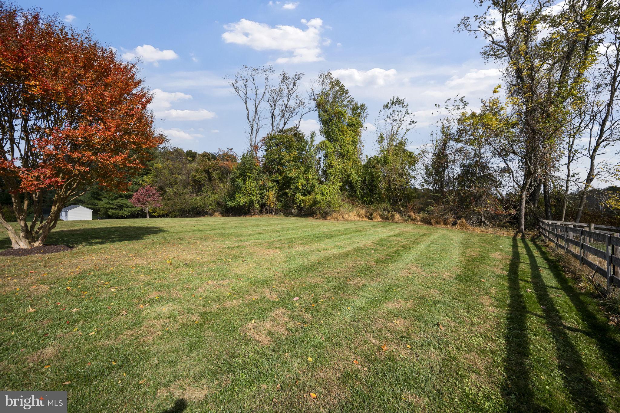 RUTH RODGERS - Residential