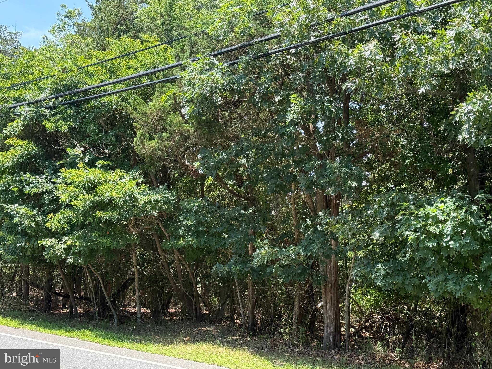 Photo 1 of 9 — 1298 RADIO ROAD, LITTLE EGG HARBOR TWP, NJ 08087