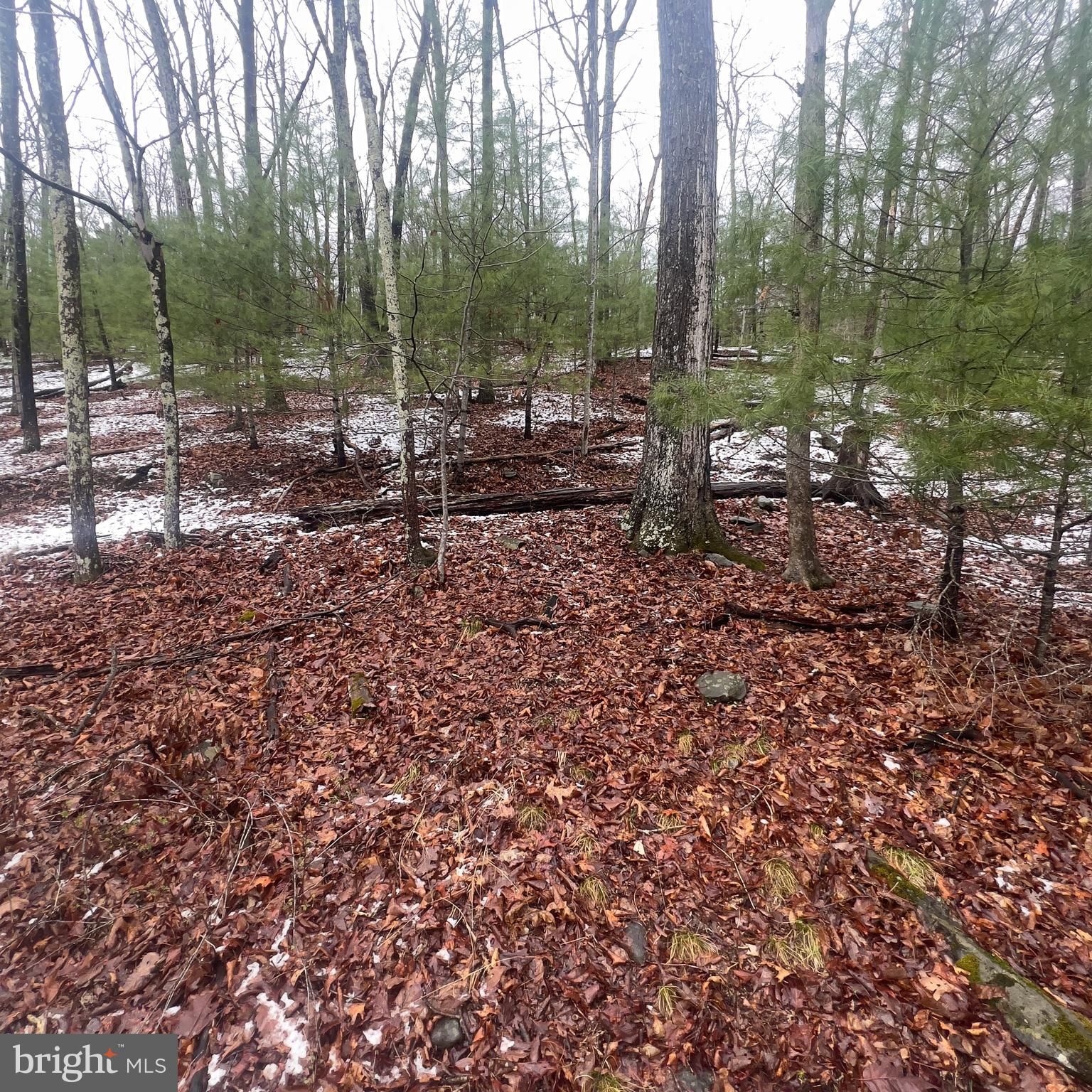 WINONA LAKES - Residential