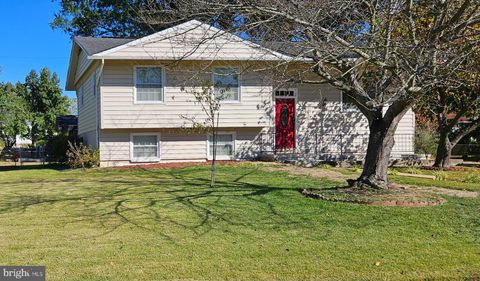 8001 HAMMOND STREET ALEXANDRIA VA 22309