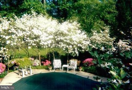 LOCUST HILL ESTATES - Residential