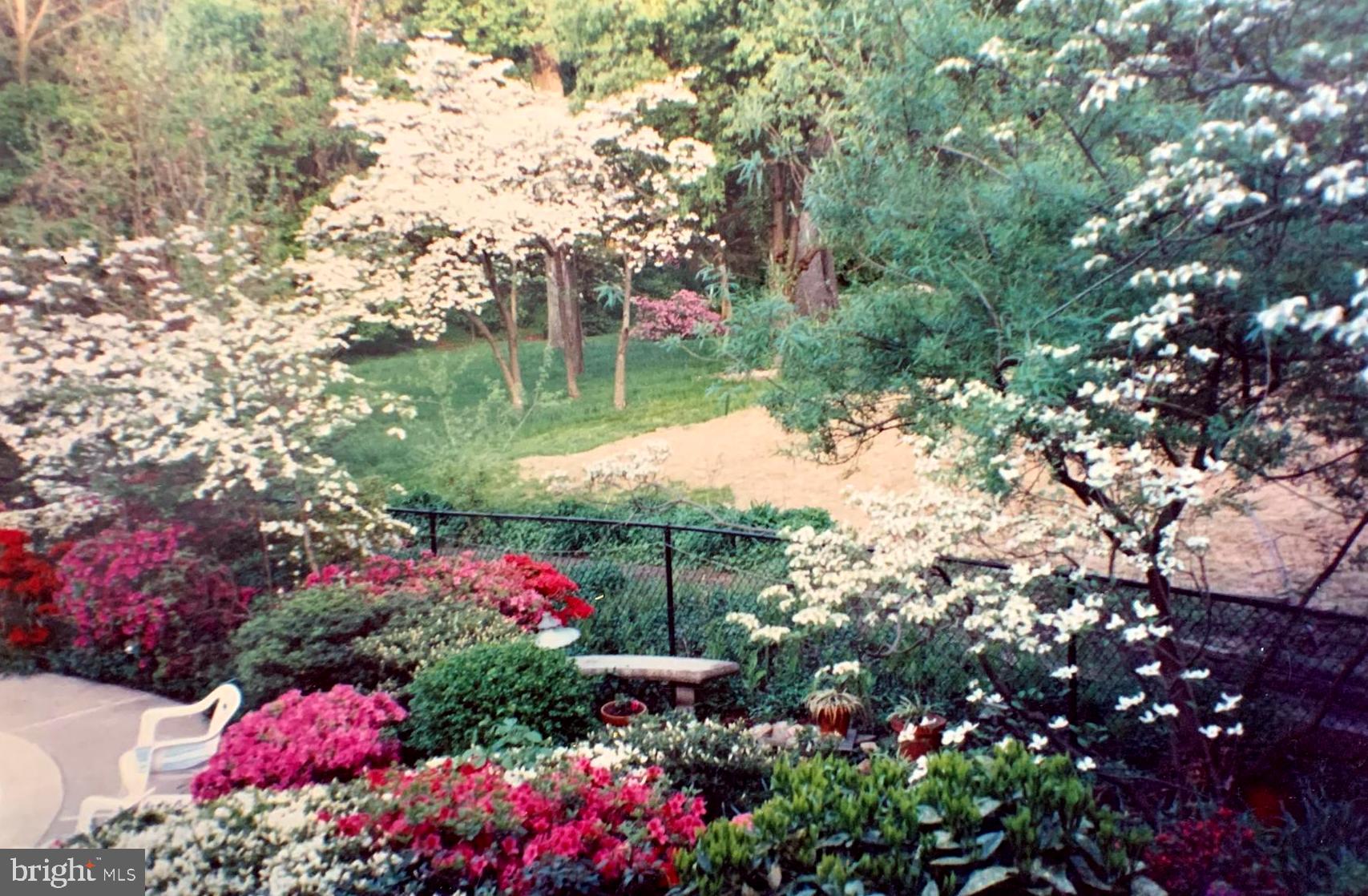 LOCUST HILL ESTATES - Residential