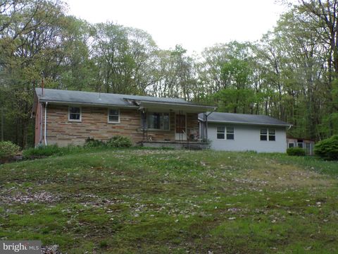 10548 NEW GERMANY ROAD GRANTSVILLE MD 21536