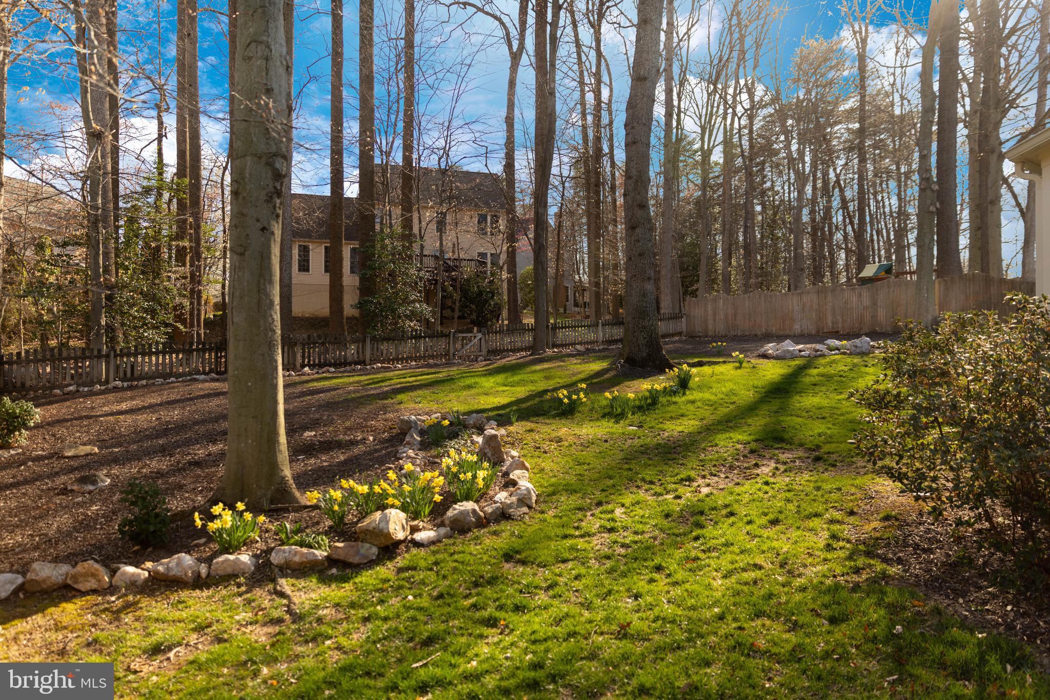 TIMBER RIDGE - Residential