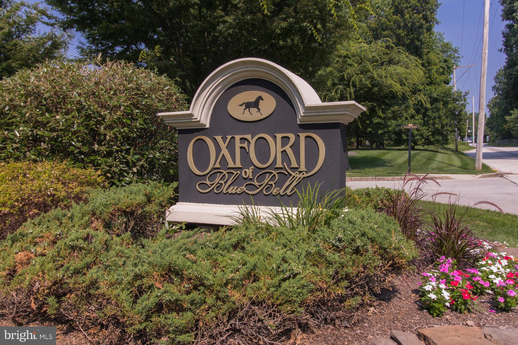 OXFORD OF BLUE BELL - Residential