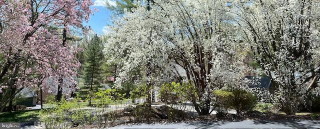 TOFT WOODS - Residential