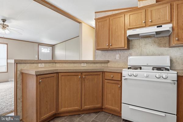 LLEWELLYNS MHP - Residential
