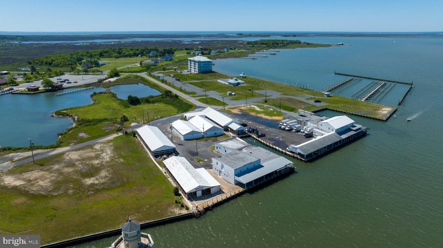 3 acres at the entrance into Crisfield and Somers Cove Marina!  600 feet of bulkheaded waterfront on the Little Annemessex River. Currently a seafood processing business,this prime location is zoned TM (Tourist Marine) and has many possible uses.  There are 2 large buildings at 7410 and 4224 sauare feet. Beautiful  large second floor apartment offers stunning views!  Just a few hours from DC and Baltimore metro areas.
Please take a look at the Video!!