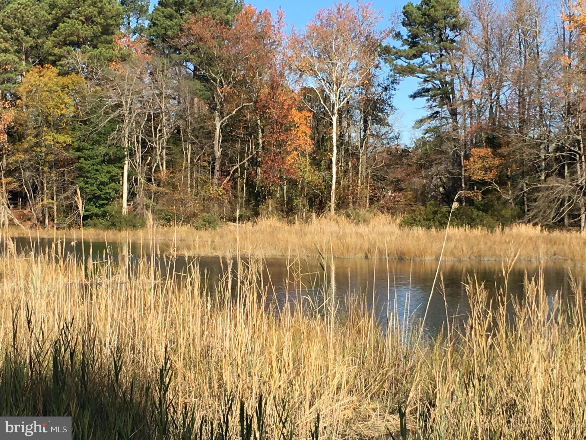 ANCHORAGE ACRES - Residential