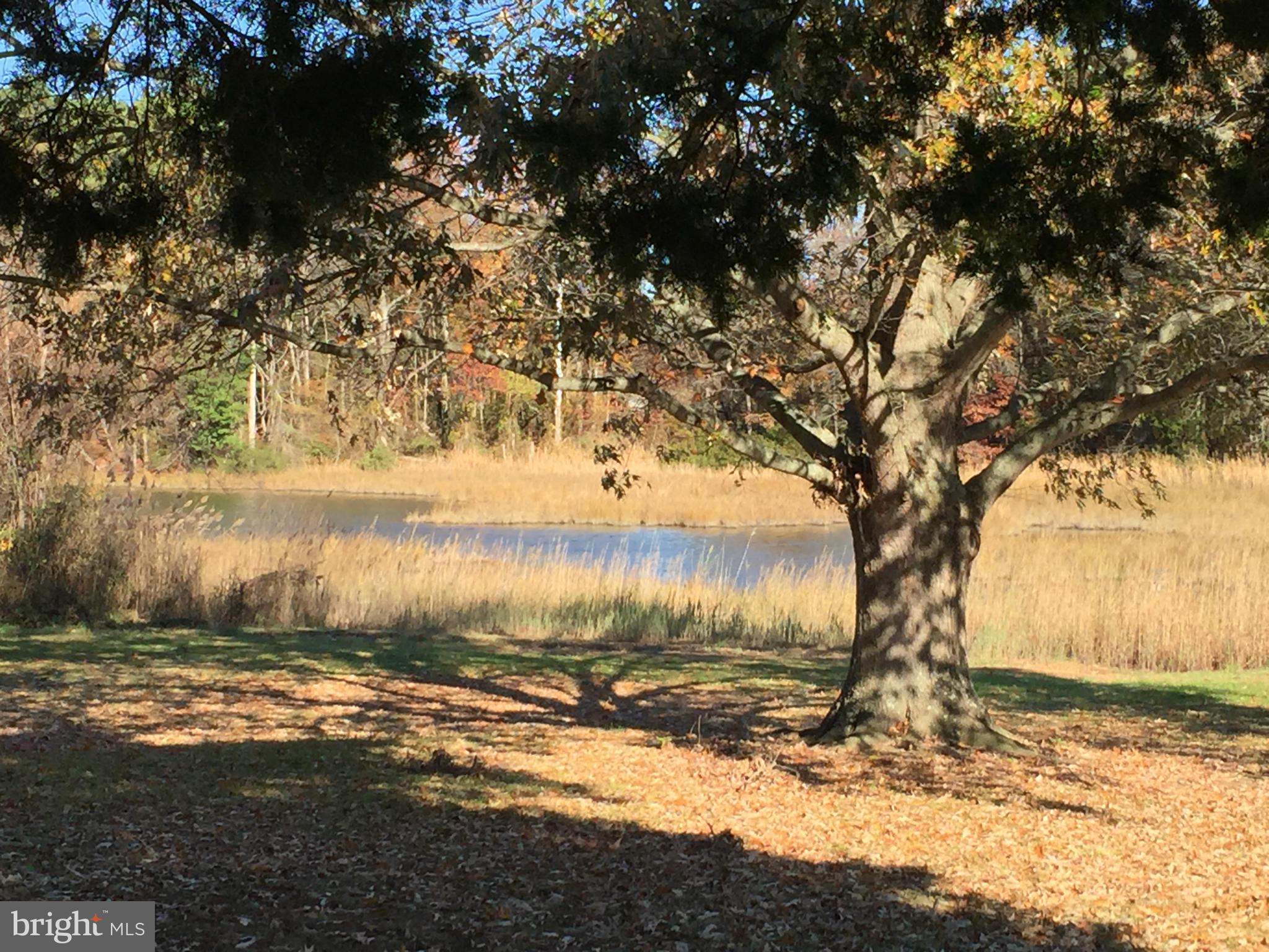 ANCHORAGE ACRES - Residential