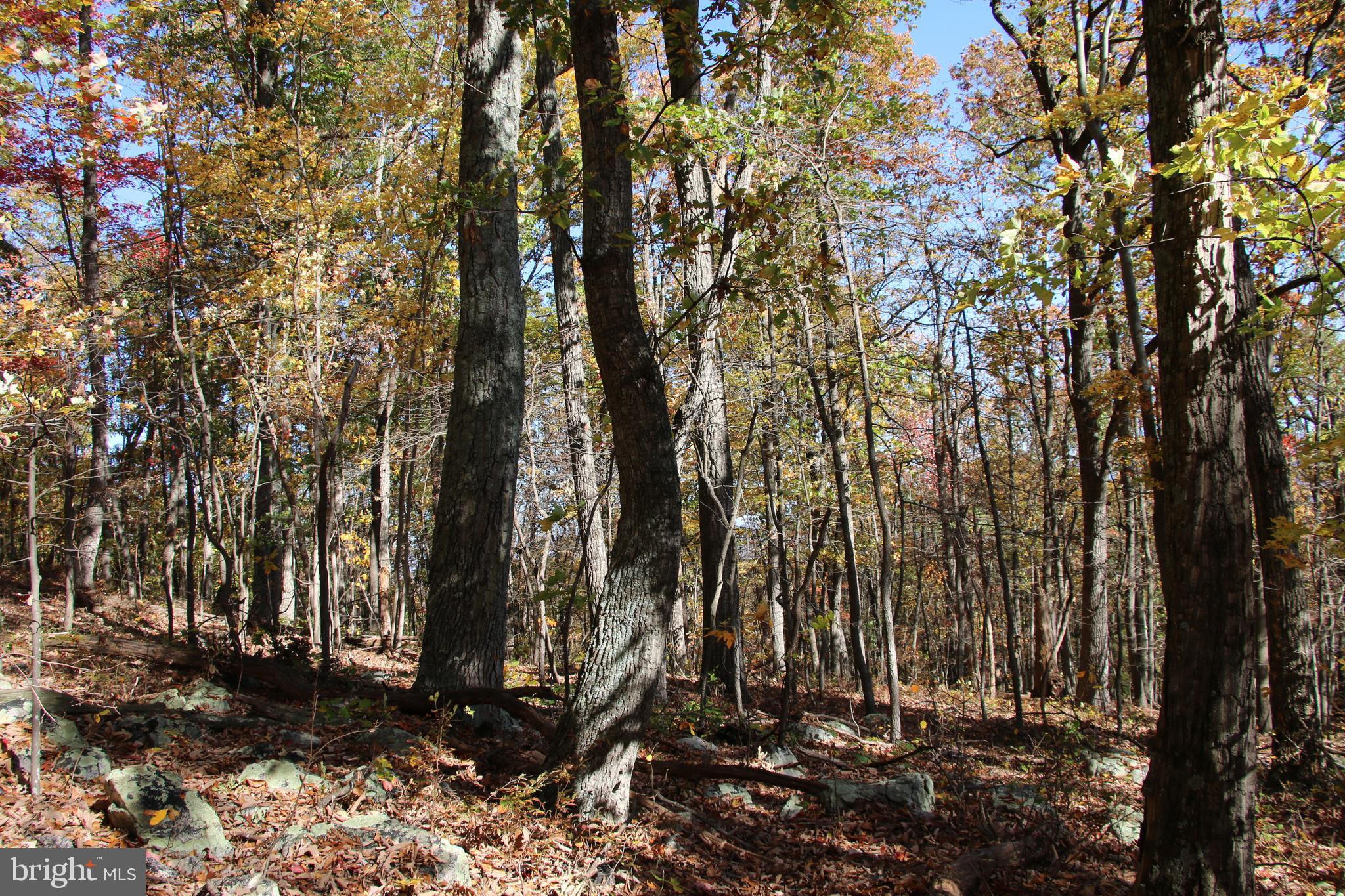 ROUND HEAD MOUNTAIN - Land