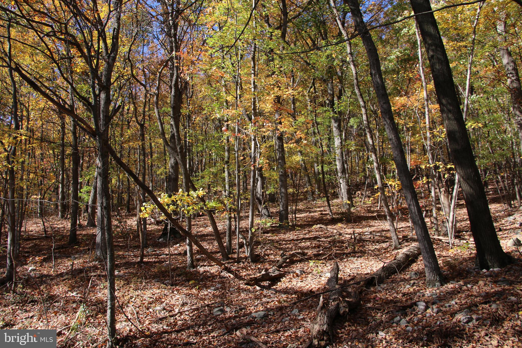 ROUND HEAD MOUNTAIN - Land