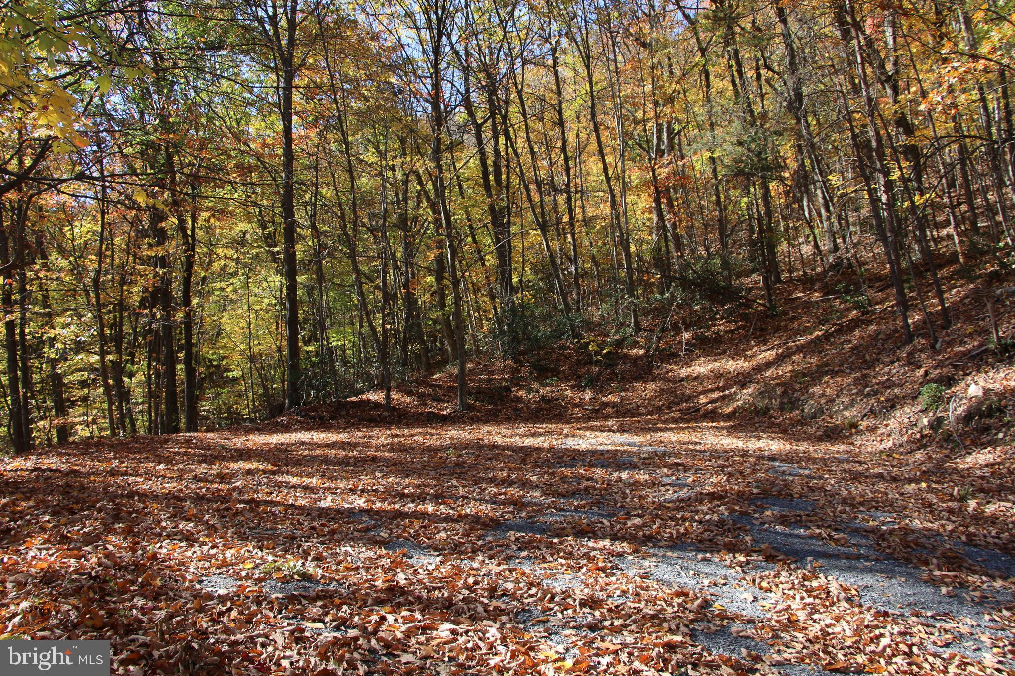 ROUND HEAD MOUNTAIN - Land