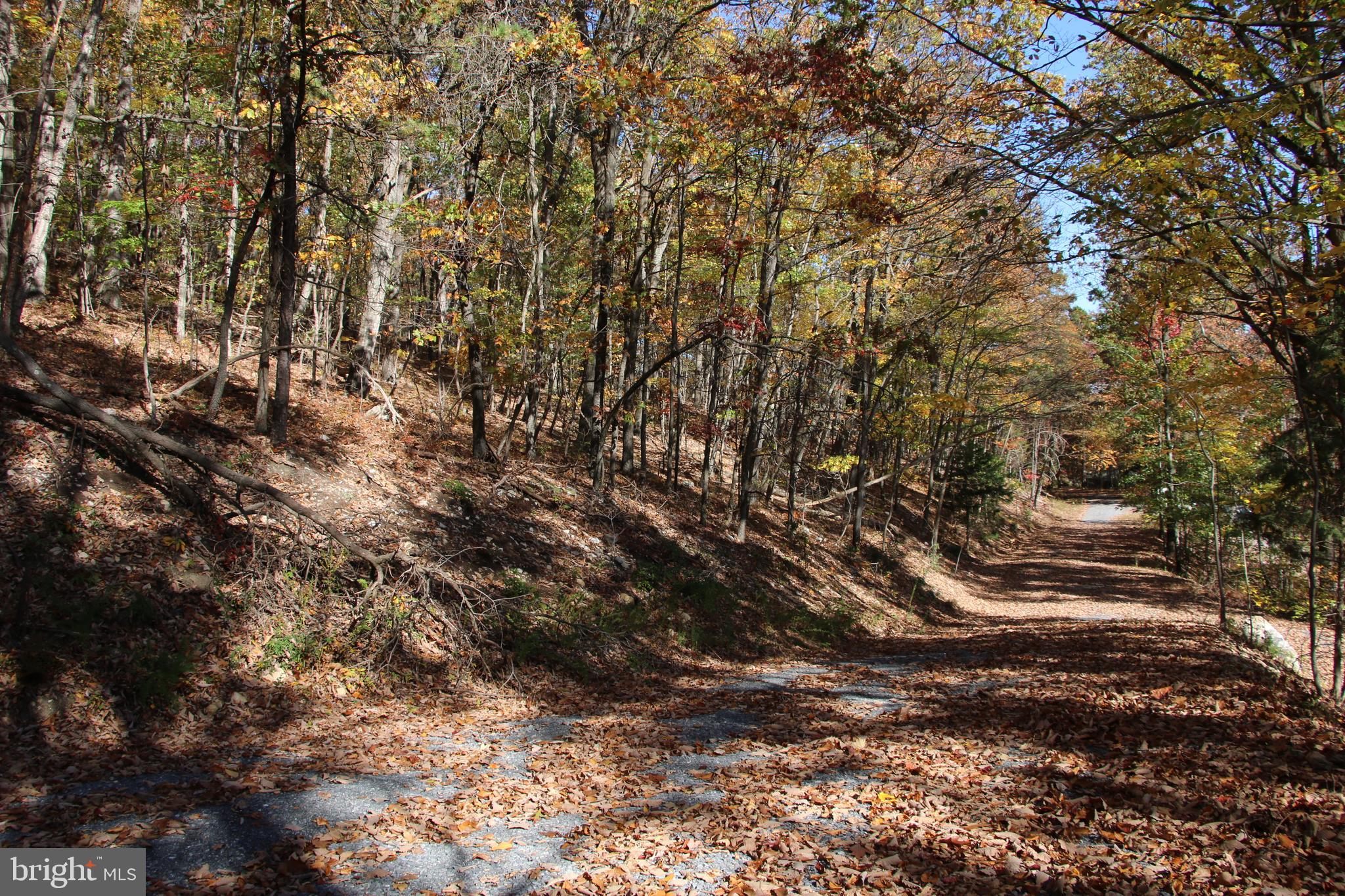 ROUND HEAD MOUNTAIN - Land