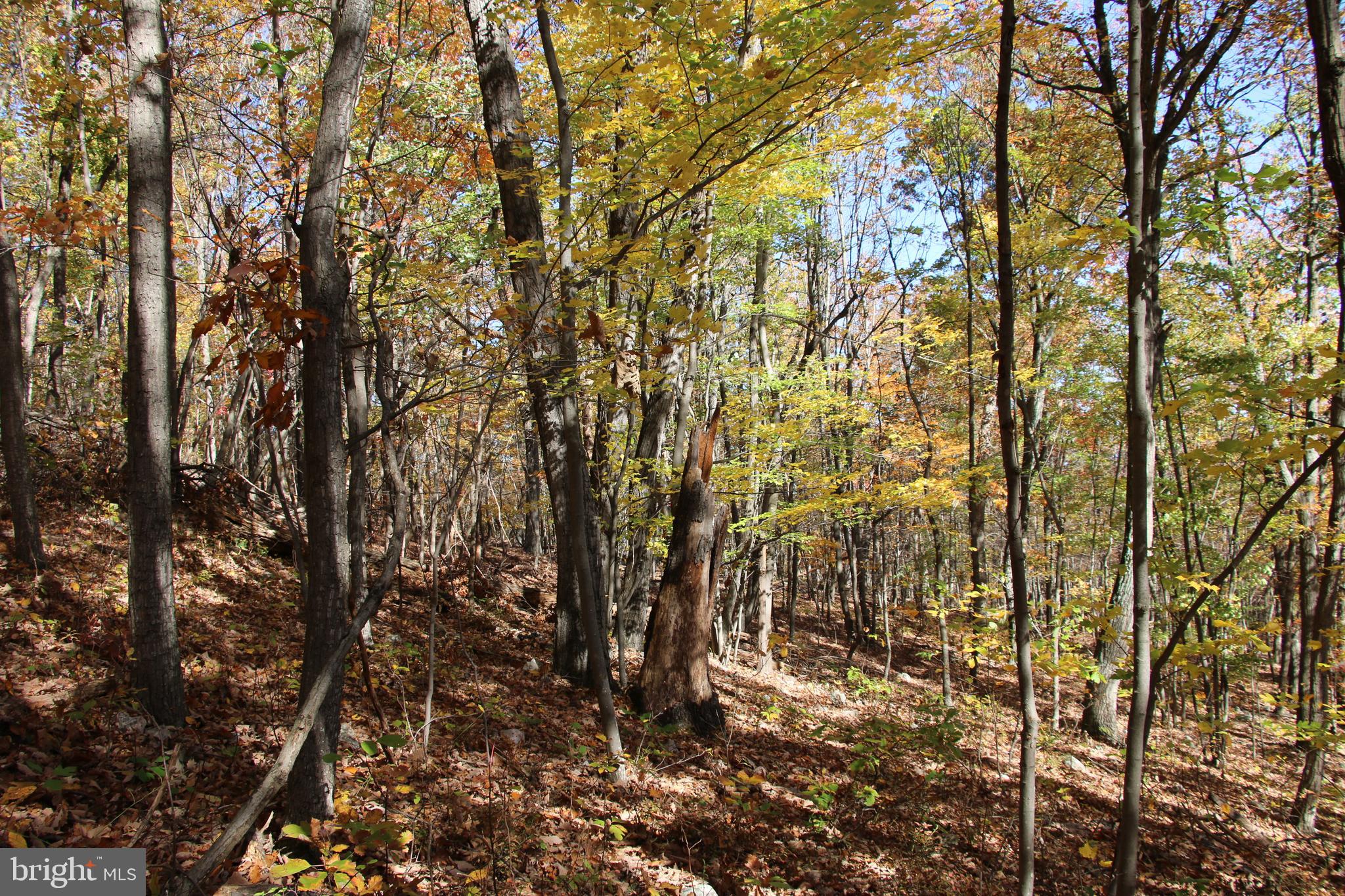 ROUND HEAD MOUNTAIN - Land