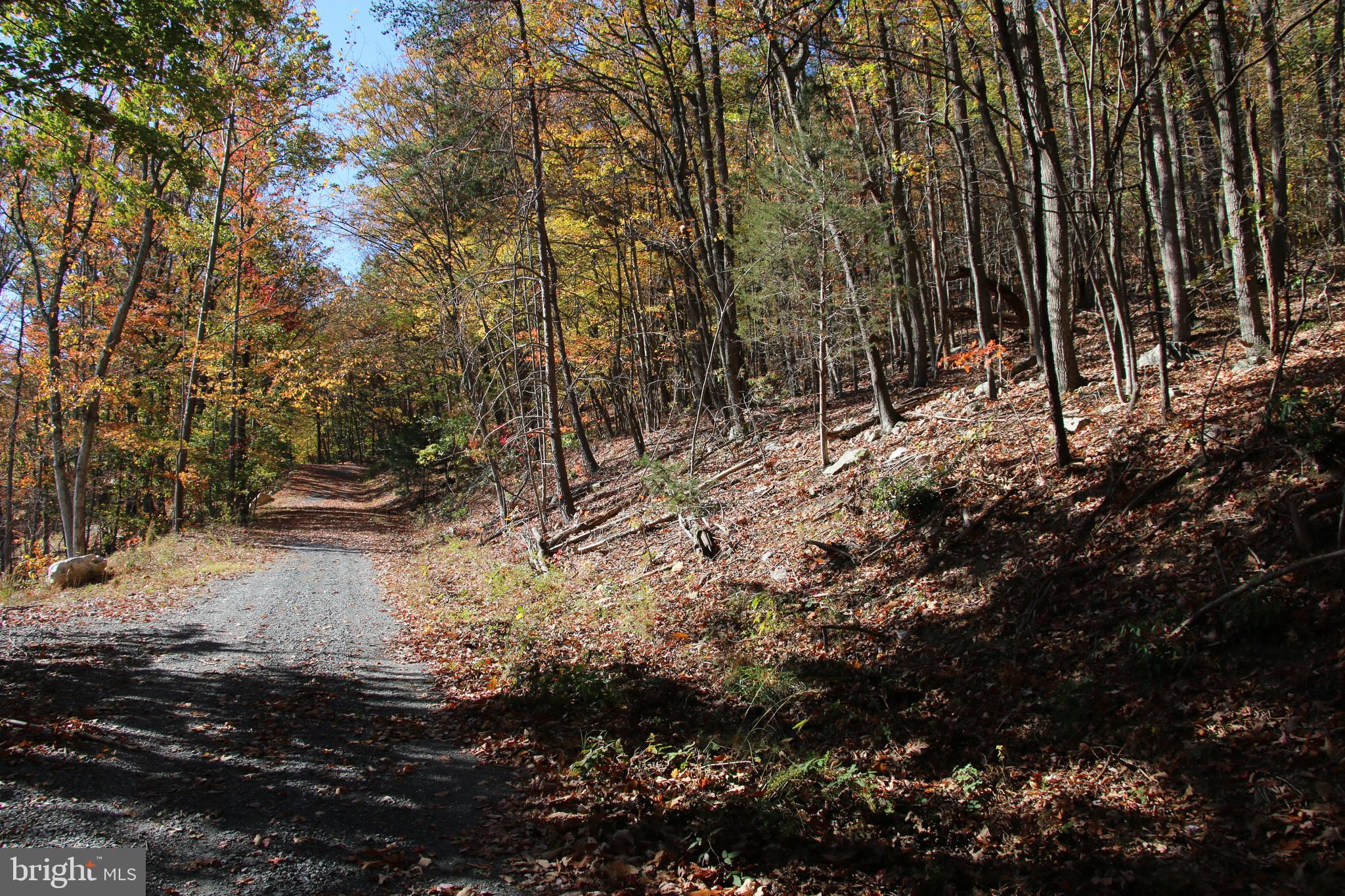 ROUND HEAD MOUNTAIN - Land