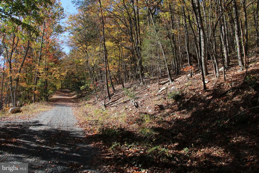 Located south of Stanley in the Round Head Mountain community and situated on the eastern slope of Round Head Mountain. Terrific location for a permanent residence, weekend getaway, or vacation rental. Electricity is nearby making for an easy and affordable connection. Access is secured via road frontage on Nicole Lane. This lot is zoned Residential and the topography ranges from mild to steep. The many amenities of Massanutten Resort and Harrisonburg and just a short drive away. All the fun and adventure of the Shenandoah National Park and George Washington National Forest are only a few miles away also. 

Additional adjoining acreage available for purchase. See aerials for details.