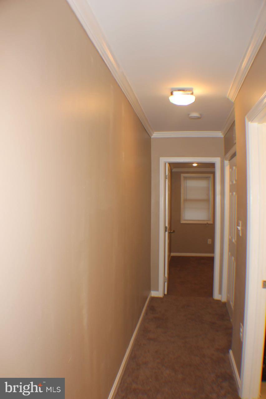 BUTCHER'S HILL - Residential Lease