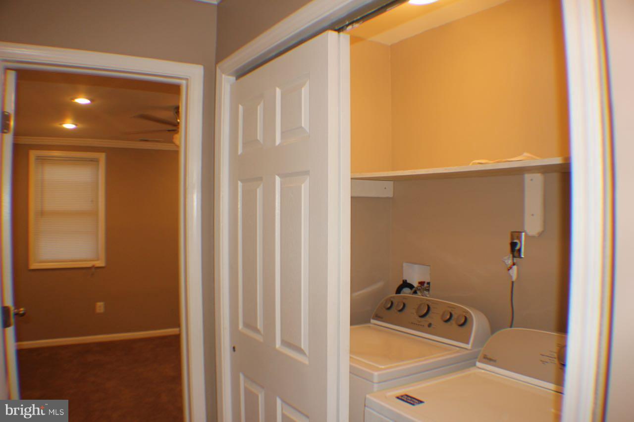 BUTCHER'S HILL - Residential Lease