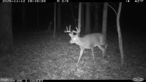 3536 JR RANNELLS ROAD POINTS WV 25437