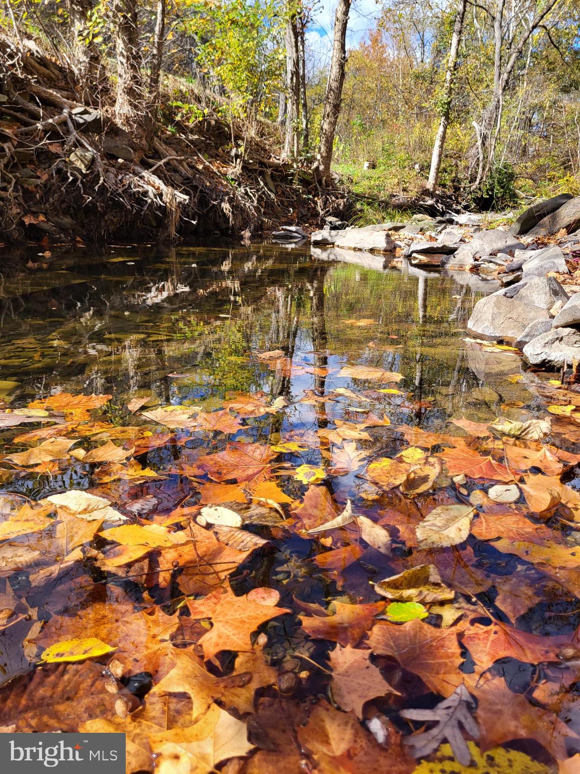 3536 JR RANNELLS ROAD