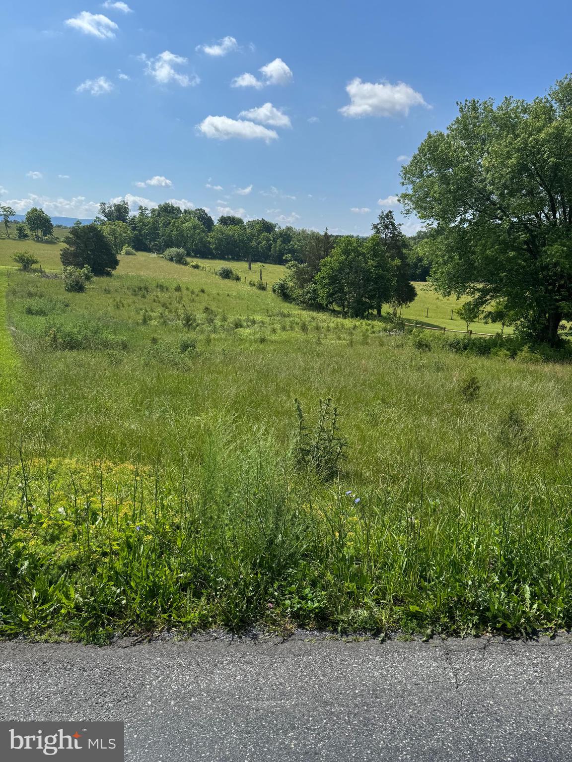 TBD BACK ROAD
