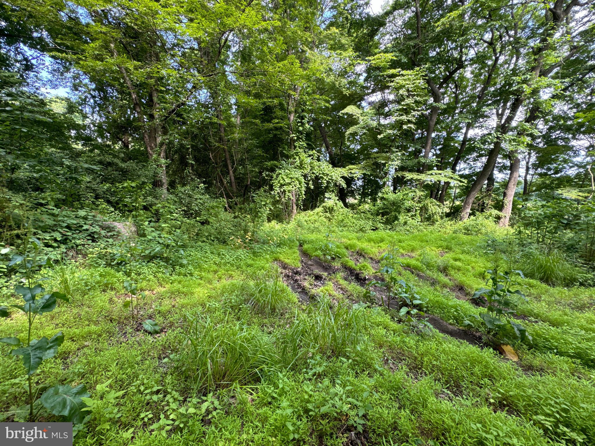 LAYTONSVILLE OUTSIDE - Land