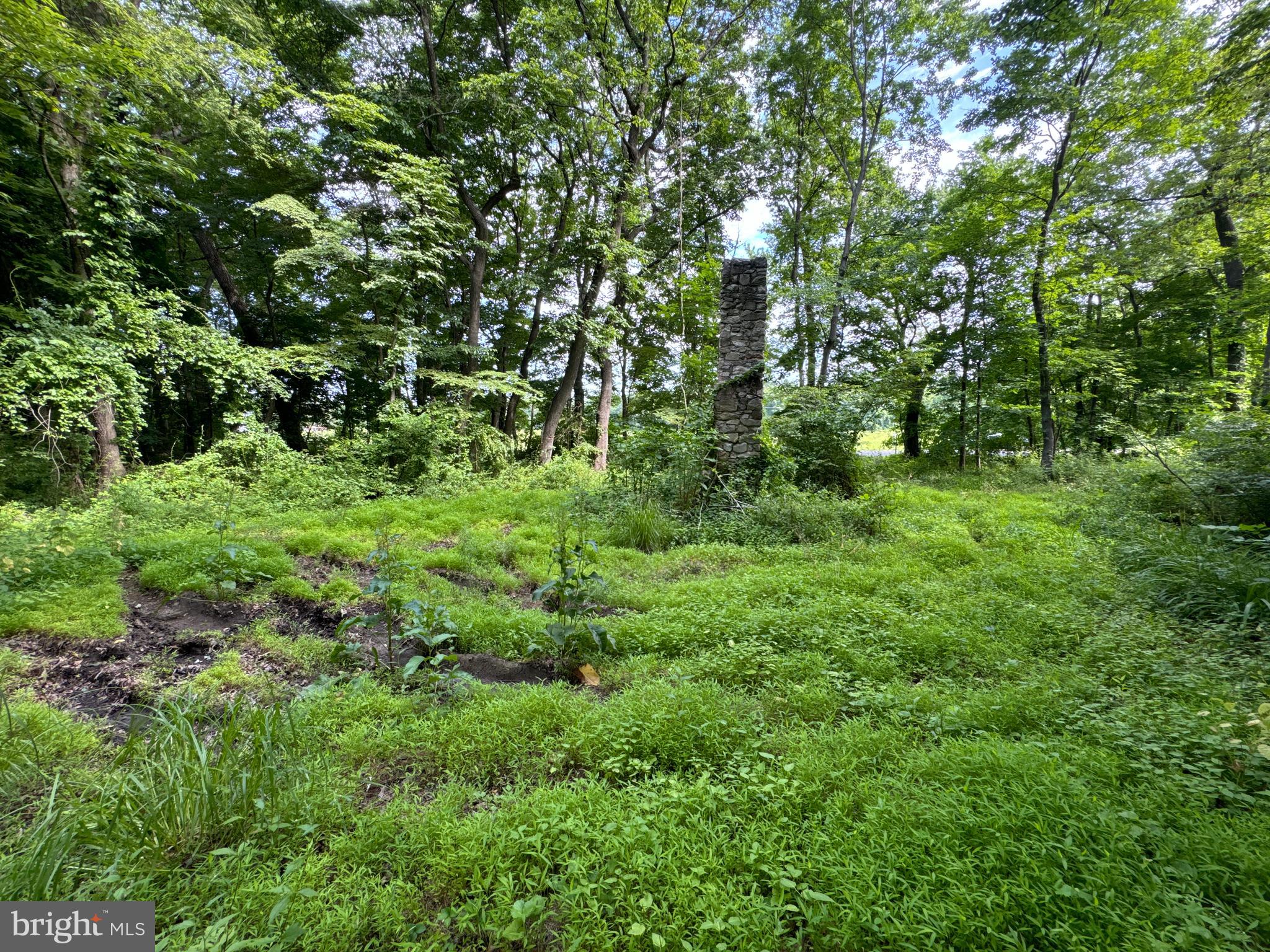 LAYTONSVILLE OUTSIDE - Land