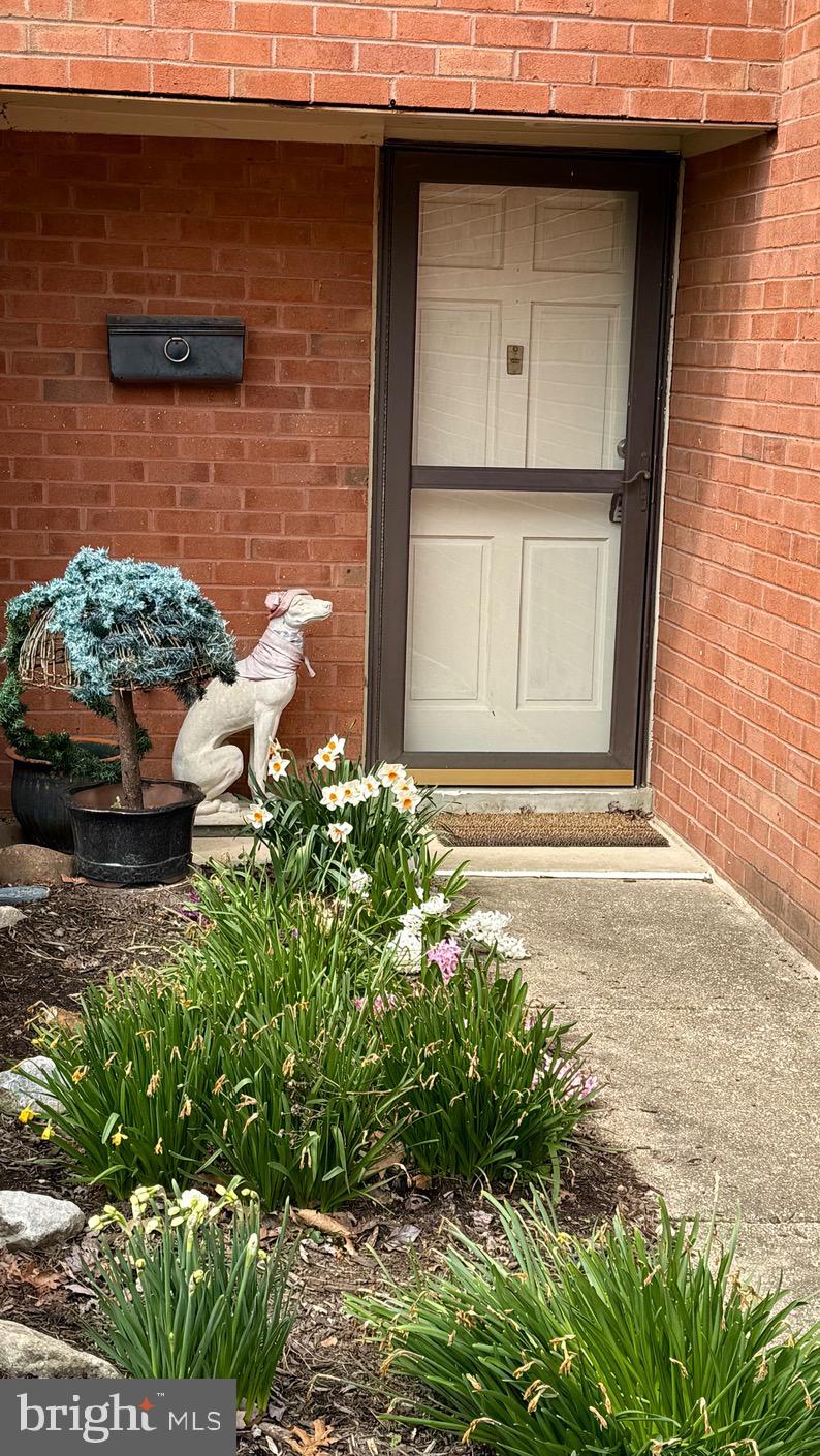 DEERFOX - Residential