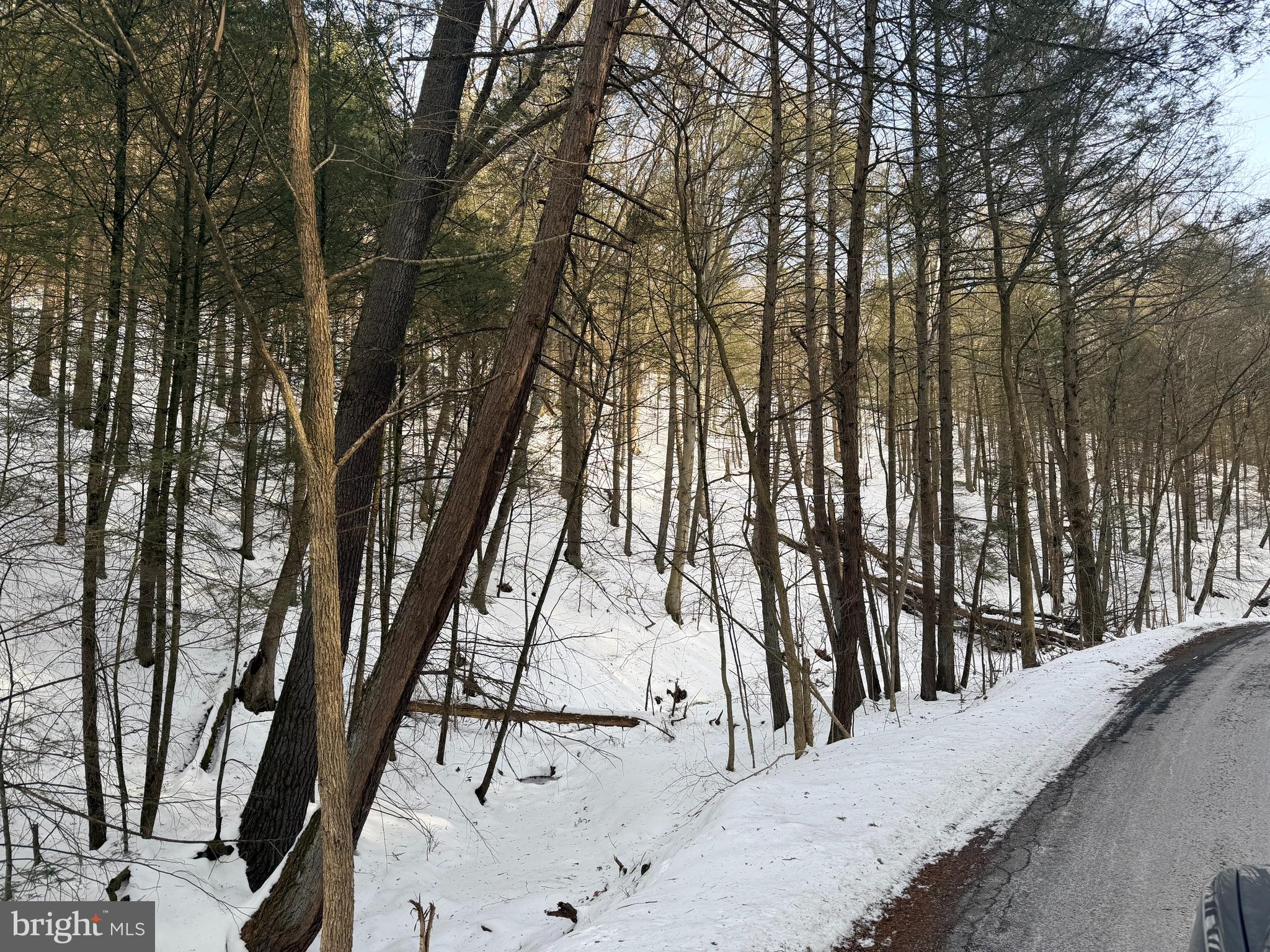 132 AC POLECAT HOLLOW RD