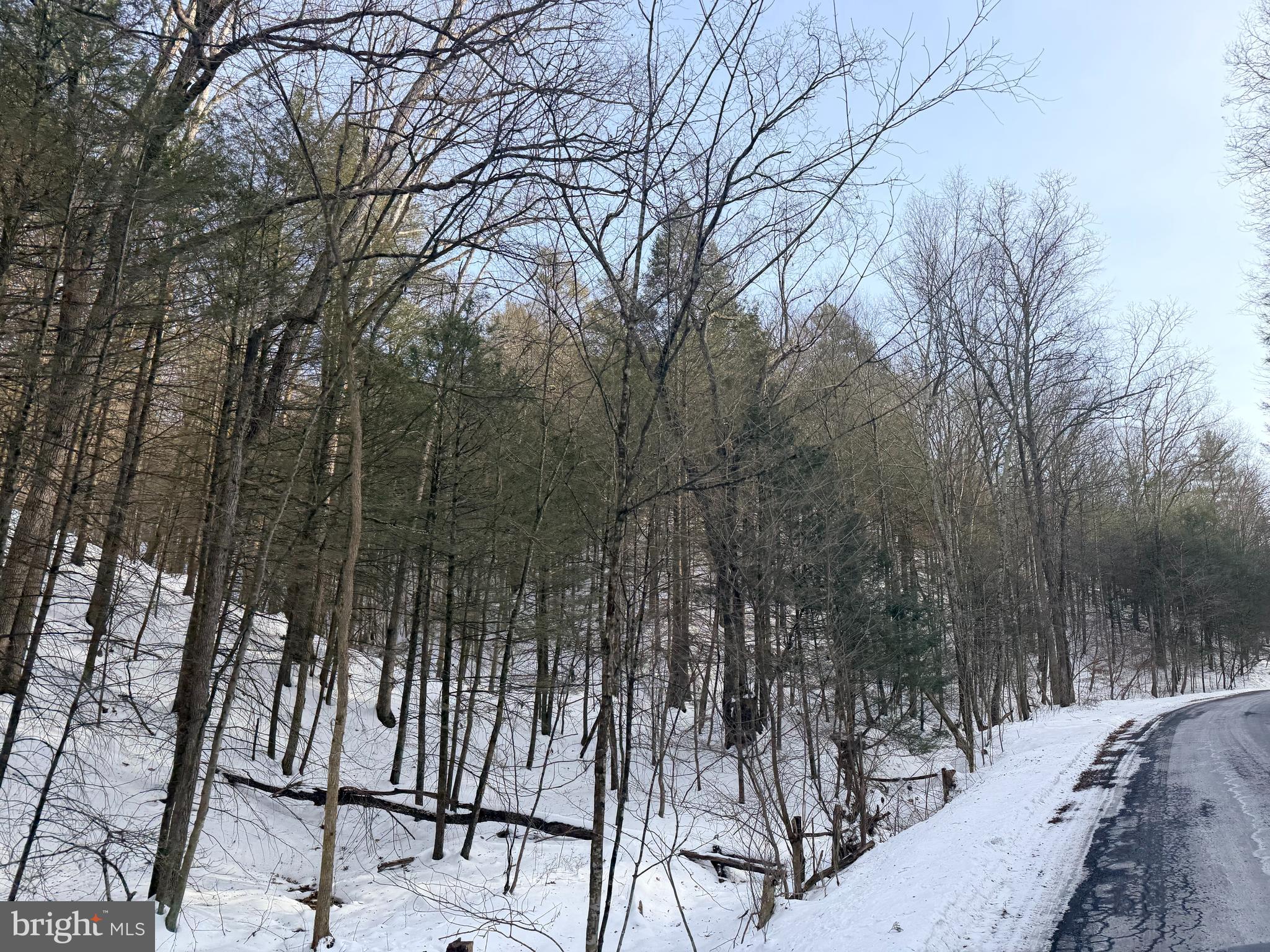 132 AC POLECAT HOLLOW RD