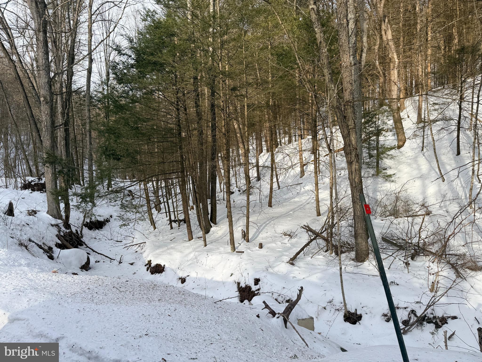 132 AC POLECAT HOLLOW RD