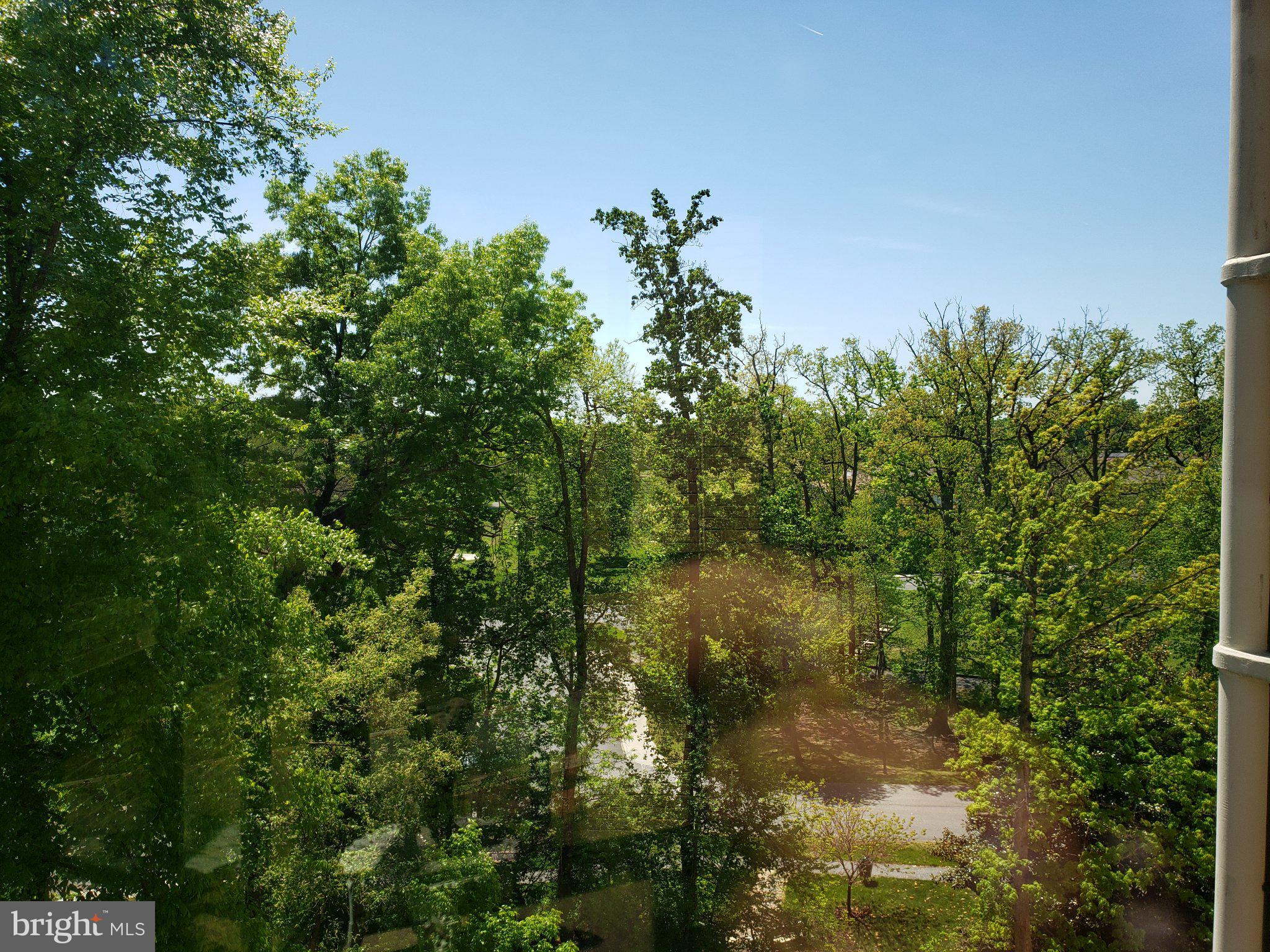 GREENS AT LEISURE WORLD - Residential