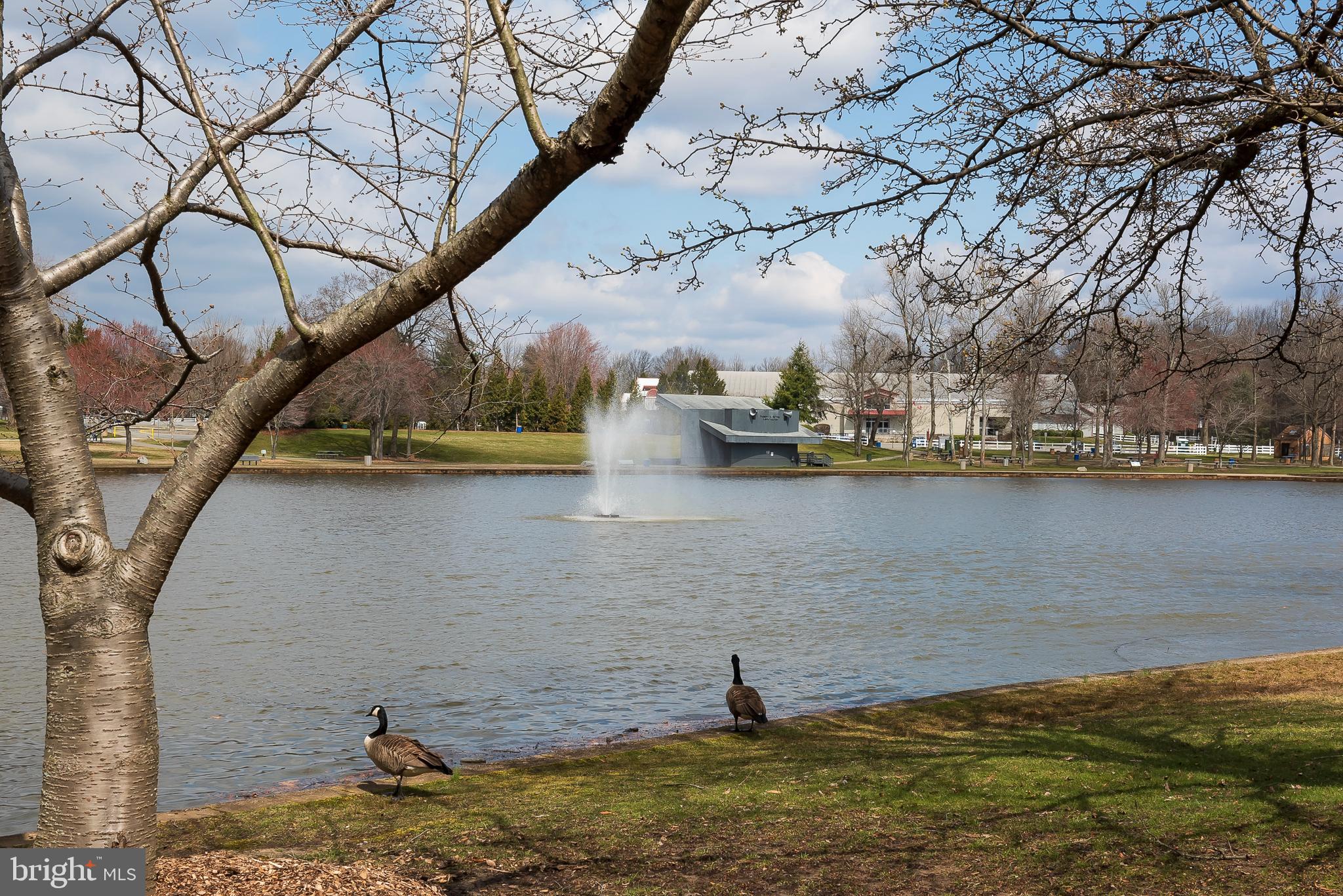 HEATHER HILLS AT BELAIR - Residential