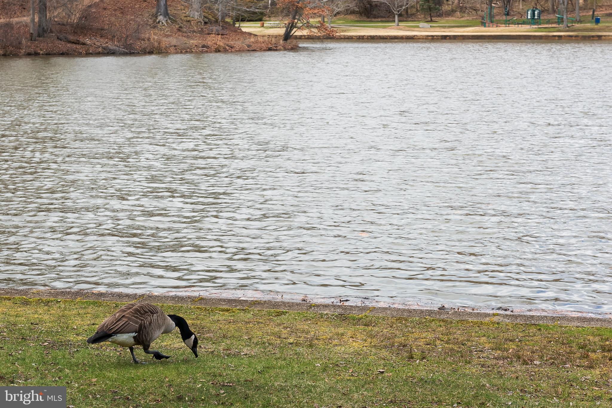 HEATHER HILLS AT BELAIR - Residential
