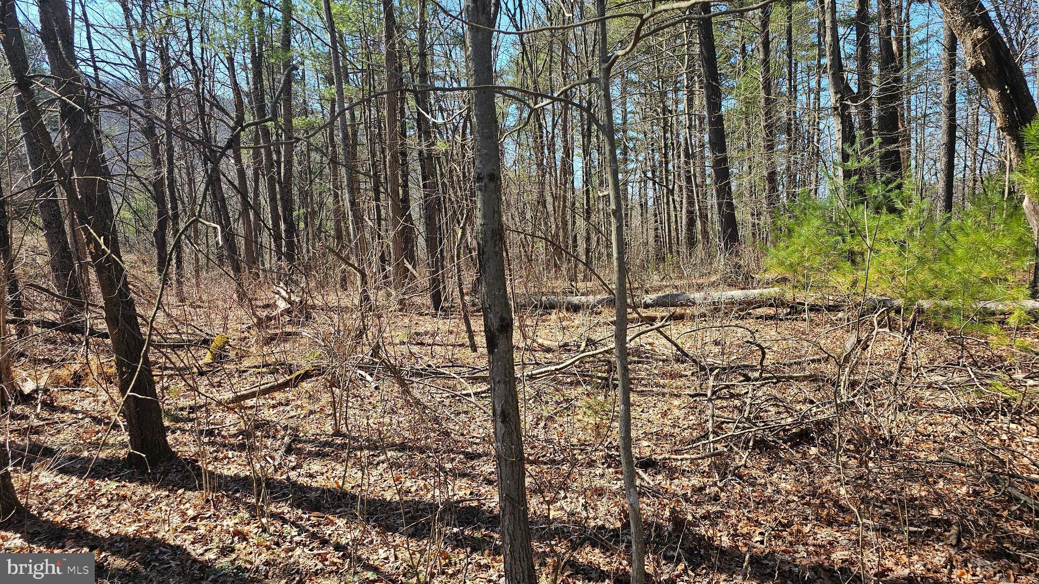 OLD US HIGHWAY 322 LOT 2