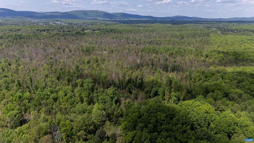 Additional pictures COMING SOON! 314.52 Acres on Paddock Wood Rd ? Endless Possibilities Await! Discover the perfect blend of privacy, natural beauty, and investment potential with this expansive 314.52-acre property. Whether you're looking to build your dream home, create a private retreat, or secure your next investment, this remarkable parcel offers unlimited opportunities. Enjoy the serene setting with a creek flowing through the property?ideal for those who appreciate nature, peace, and scenic surroundings. Conveniently located just minutes from Zion Crossroads with easy access to I-64, this property offers the best of both worlds: seclusion without sacrificing accessibility. You?re only approximately 27 minutes from the Town of Orange and about an hour from Richmond. Don?t miss your chance to own a rare piece of land with incredible potential!