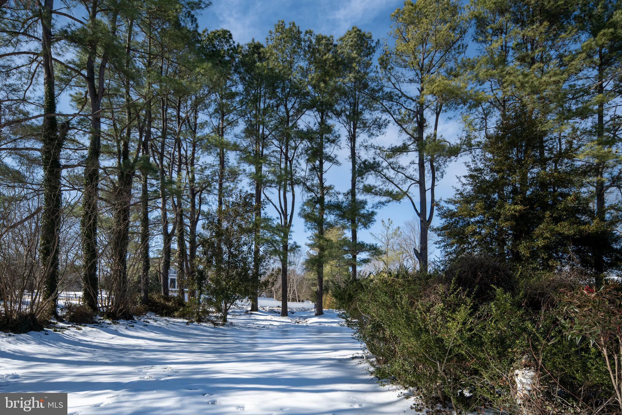 BELMONT HILLS/INGLESIDE - Residential