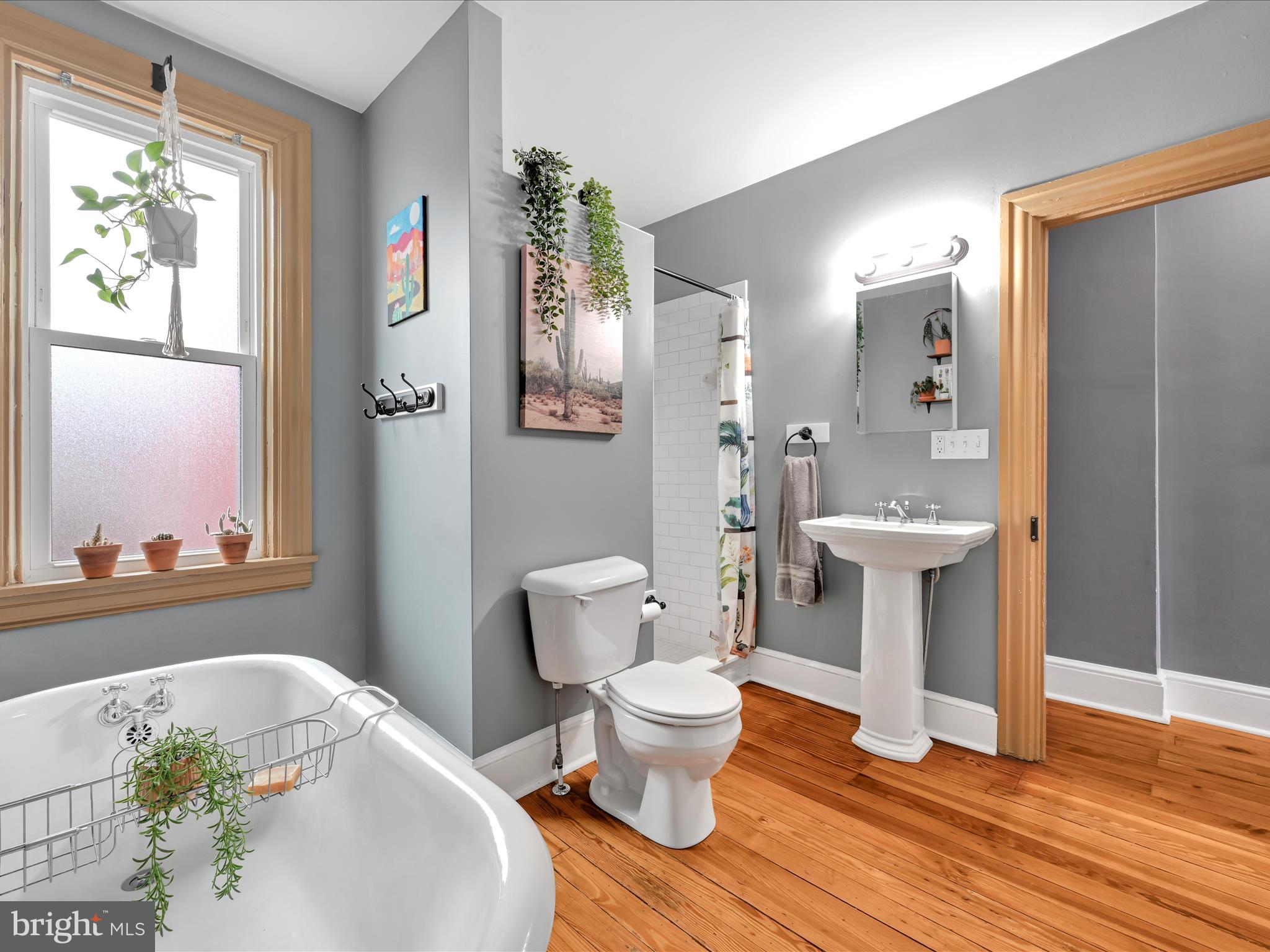 CHESTNUT HILL - Residential