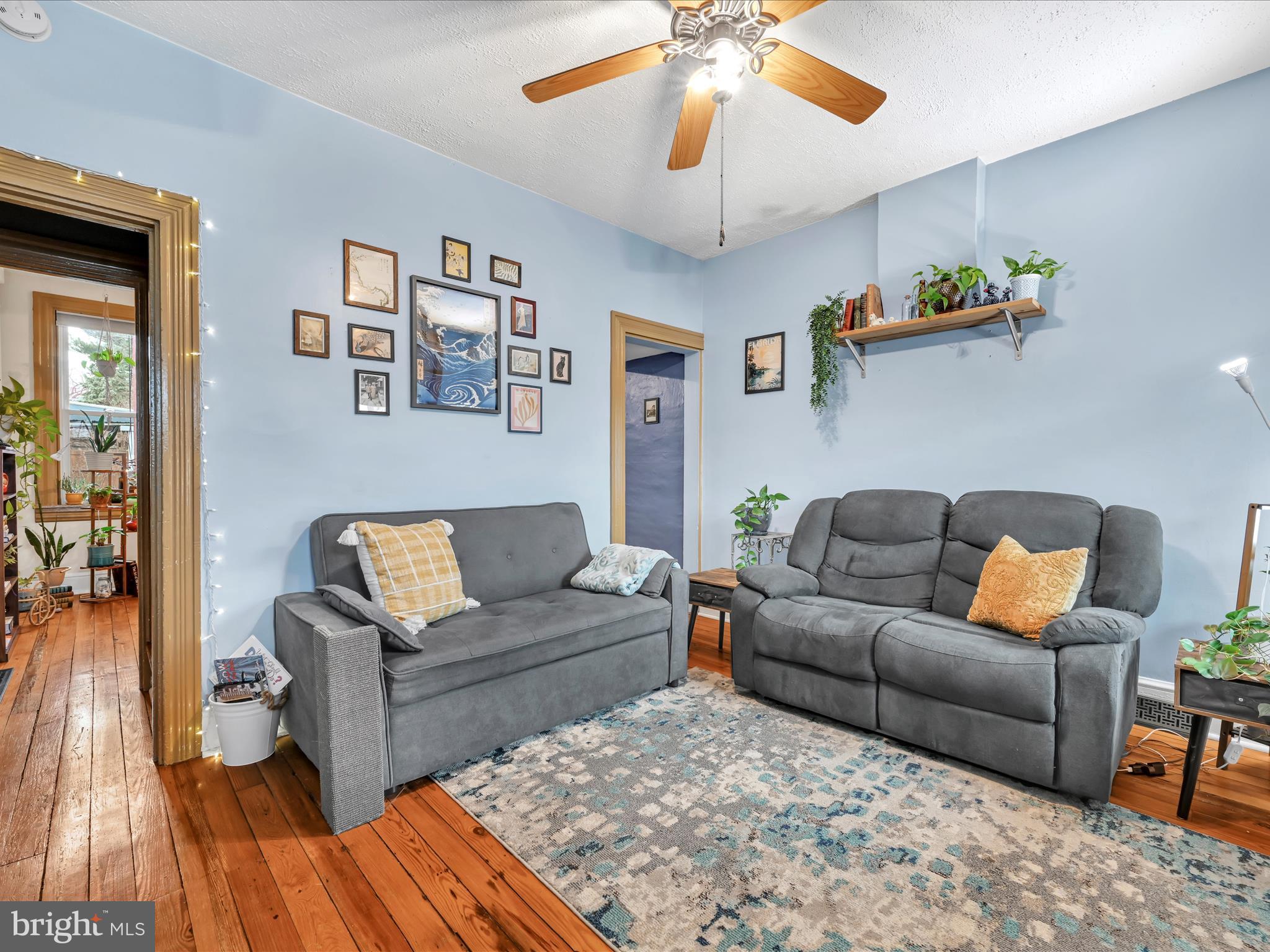 CHESTNUT HILL - Residential