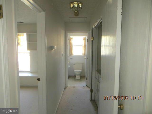 CLARY'S FOREST - Residential