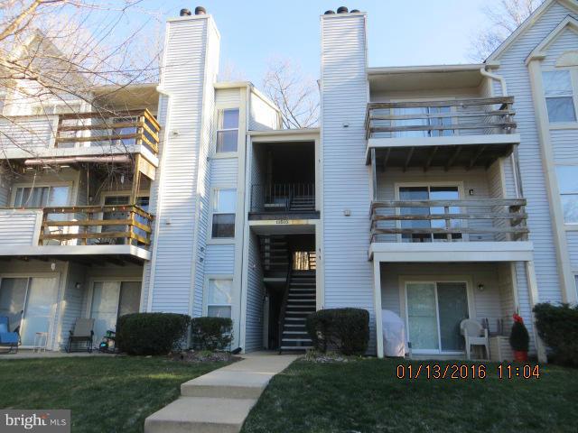 CLARY'S FOREST - Residential