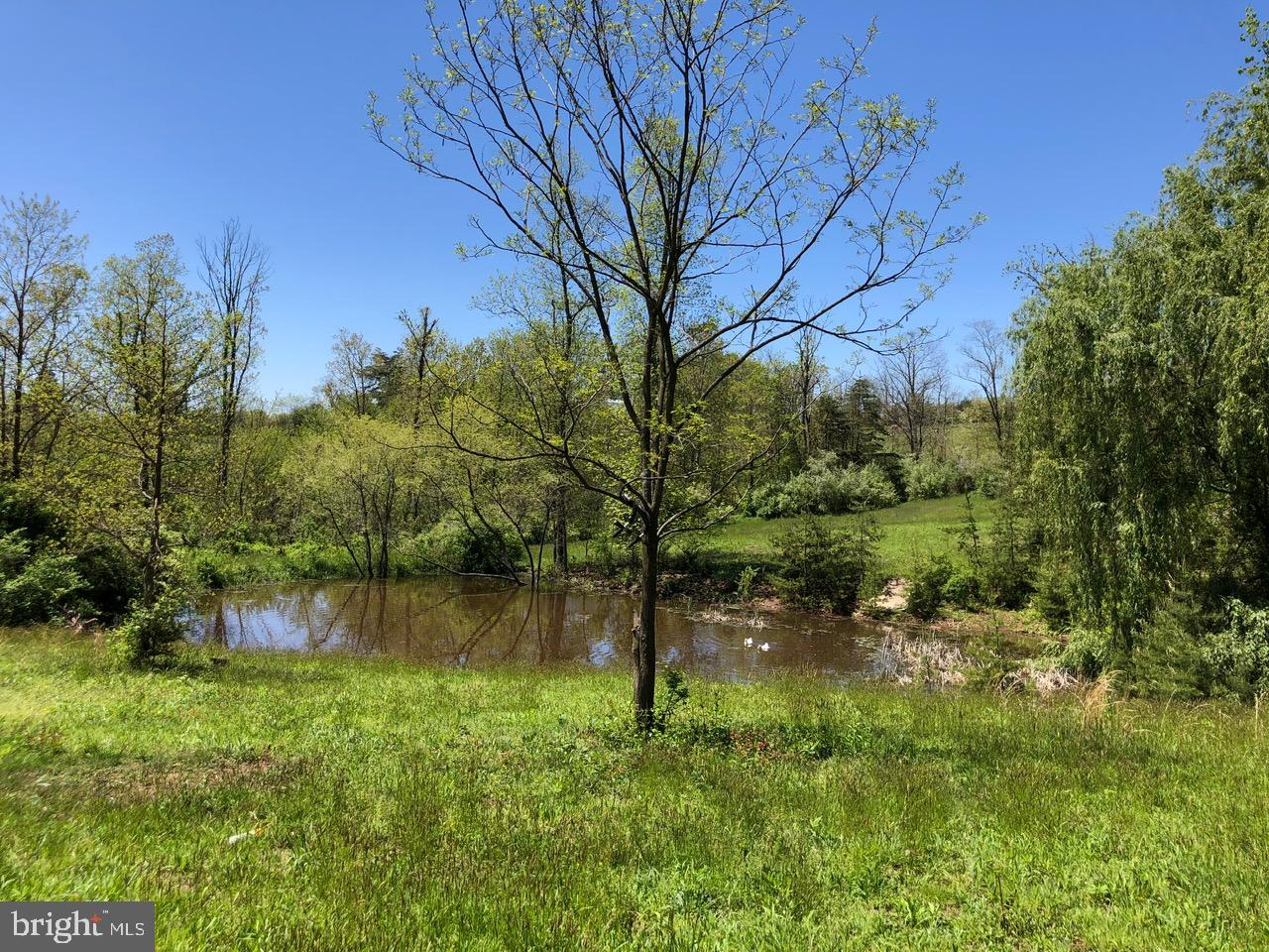 10 Beautiful land with well and septic and two ponds. The land is mostly wooded with a little open land and is all usable land with easy access. There is an old shack on the property in rough condition. There is lots of trash on the property. Being sold strictly "AS IS". See well and septic permit in documents. There is lots of trash on the property.