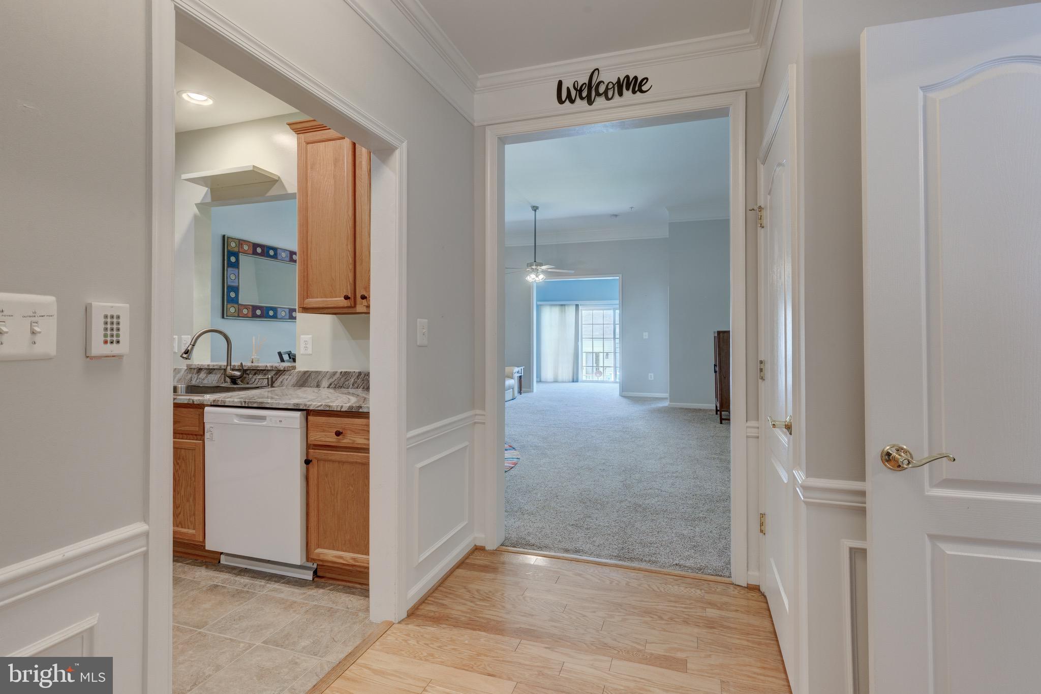 CARROLL VISTA - Residential