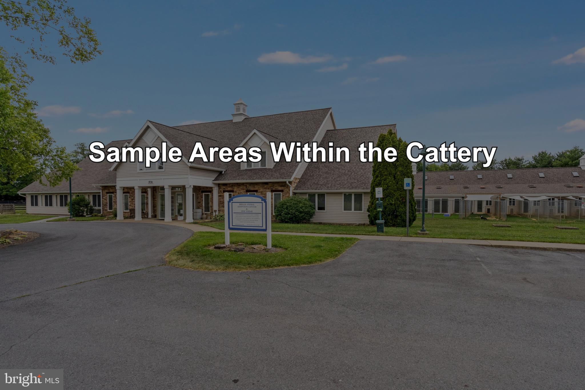 3731 BERRYVILLE PIKE