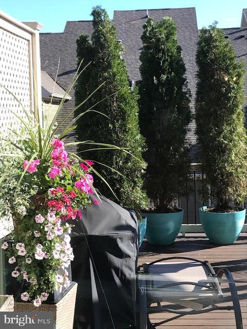 THE VISTAS AT LANSDOWNE - Residential