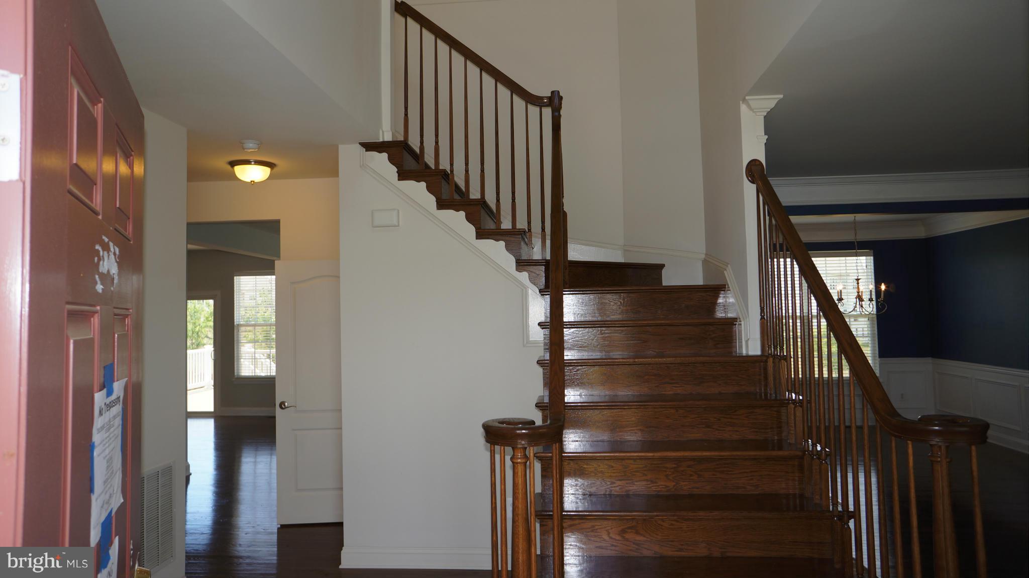 ELYSIAN HEIGHTS - Residential