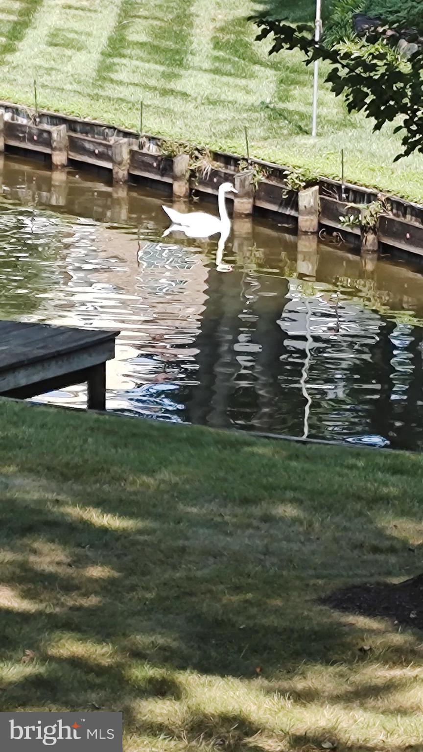 FAWN LAKE - Residential
