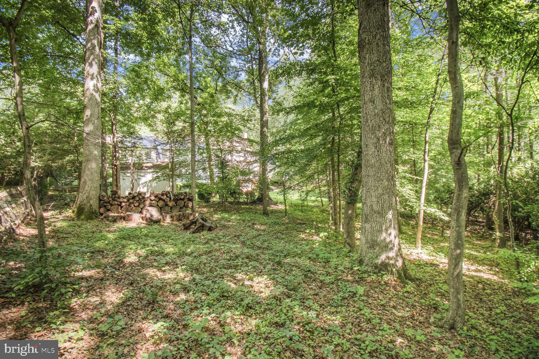 POTOMAC OUTSIDE - Residential